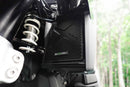 BMW R 1300 GS Adventure [2024-2026] - Kühlerschutz-Set