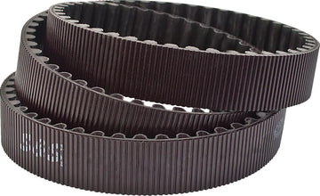 Harley-Davidson Xl 883 R Roadster [2007-2010] - Antriebsriemen – Bild 1