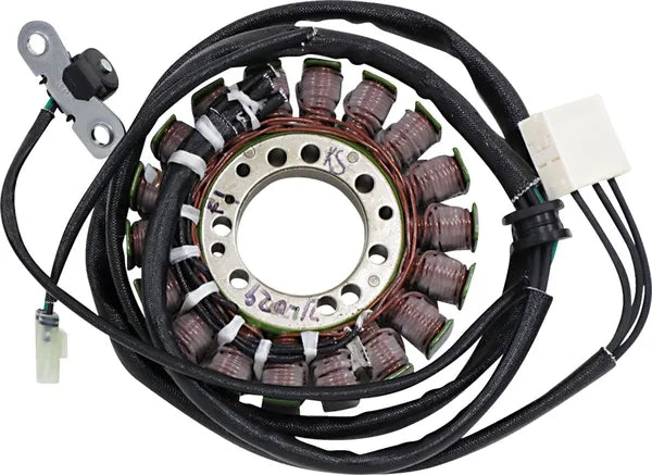 Triumph Daytona [RICK'S MOTORSPORT ELECTRIC] – Stator im OEM-Stil