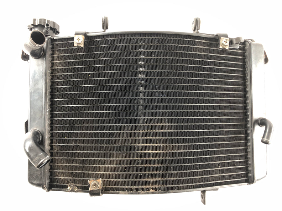 Triumph Street Triple R 675 D67LD [2008] - Cooler Cool Water