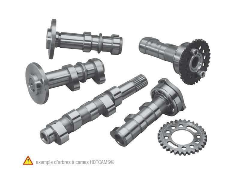 Yamaha Tt 125 [HOT CAMS] - Albero a camme - Fase 1 Yamaha TTR125