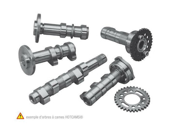 Yamaha Tt 125 [HOT CAMS] - Albero a camme - Fase 1 Yamaha TTR125