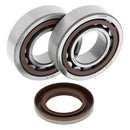 Ktm 520 Exc [ALL BALLS] - crankshaft bearing and oil seal set