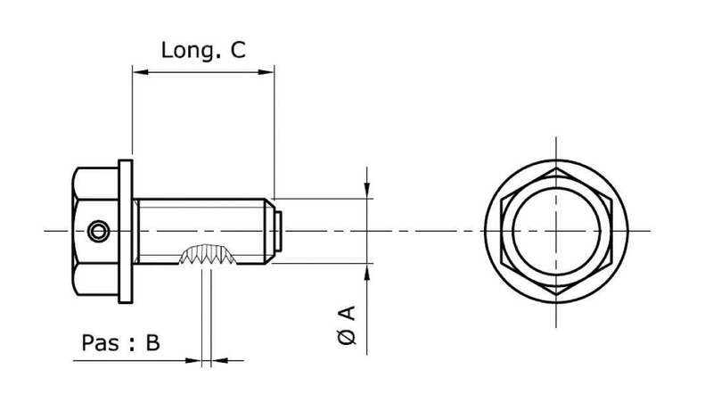 Kawasaki VN 1500 Classic [Tecnium] - magnetic drain screw