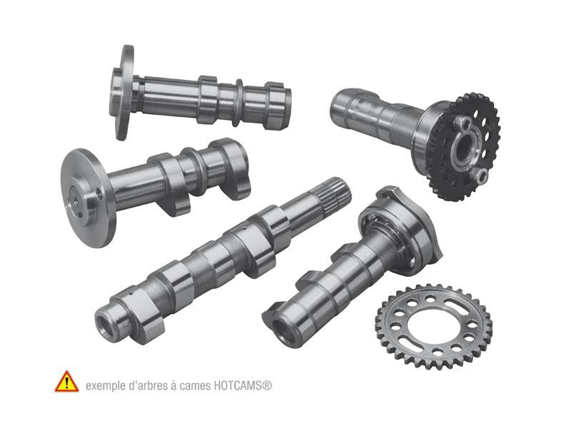 Honda CRF 150 R BIG Ruote 16/19 (KE 03) [2007-2023] - Albero a camme - Fase 1 Honda CRF150R