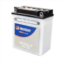 Yamaha XT 600 Z 3AJ Tenere [TECNIUM] - Motorradbatterie-1
