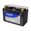 Yamaha TT 600 RE [TECNIUM] - Wartungsfreie Motorradbatterie-1