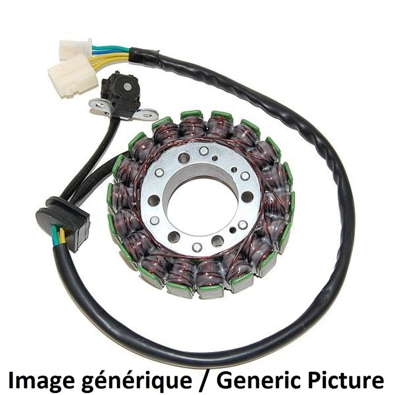 Suzuki Gsf 1250 [ELECTROSPORT] - Statore - Suzuki GSX650F