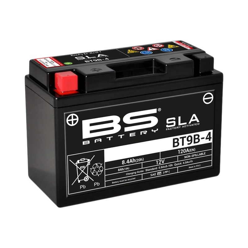 Yamaha TT 600 RE [BS BATTERY] - Motorradbatterie