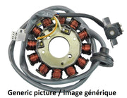 Honda CBR 900 RR Fireblade SC33 [1996-1999] - Alternator stator Honda CBR900RR Fireblade