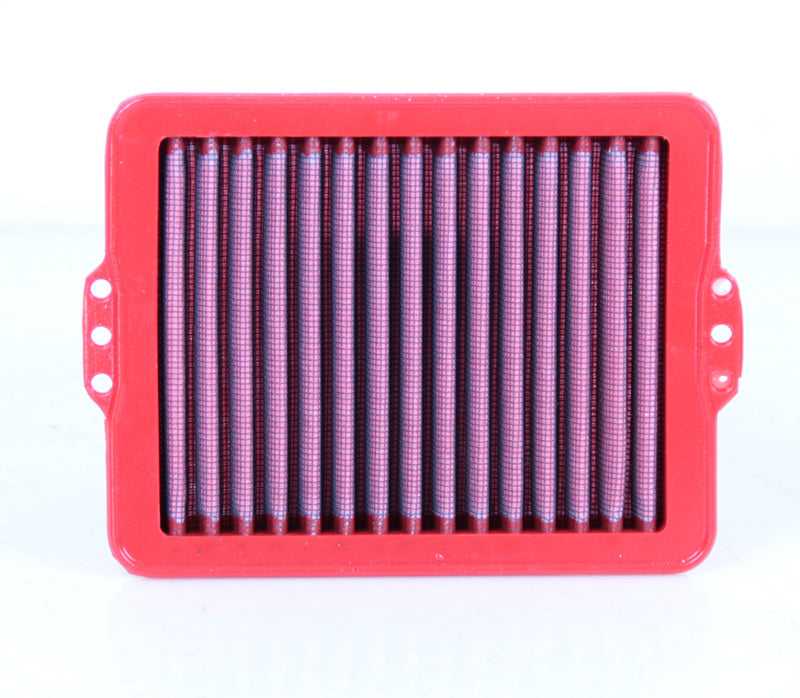 Bmw F 850 Gs [BMC] - Air filter - FM01004