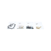 Kawasaki Ninja ZX-9 R (ZX 900 F) [2002-2003] - Kit di riparazione carburatore