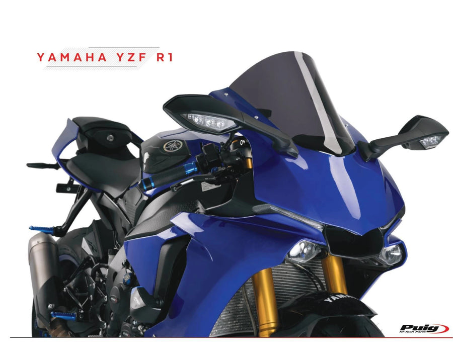 KAWASAKI ZX-10RR NINJA PERFORMANCE [2018] – Cupolino R-Racer – Colorato