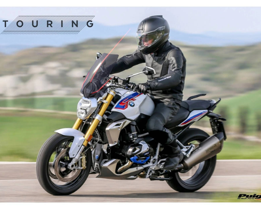 BMW R 1250 R [2018] – New Generation Sport – Getönt