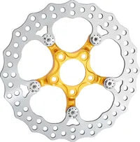 Harley-Davidson FLHR 1750 Road King 107 [2020-2022] - brake discs - picture 12