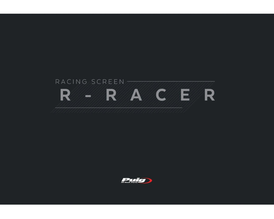 KAWASAKI ZX-10RR NINJA PERFORMANCE [2018] – Cupolino R-Racer – Colorato