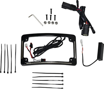 Harley Davidson FLHR [CUSTOM DYNAMICS] – Cornice targa con raggio a LED