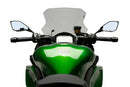 KAWASAKI NINJA 1100 SX SE [2025] – Cupolino da corsa – Colorato-5