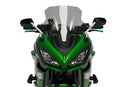 KAWASAKI NINJA 1100 SX SE [2025] – Cupolino da corsa – Colorato-7