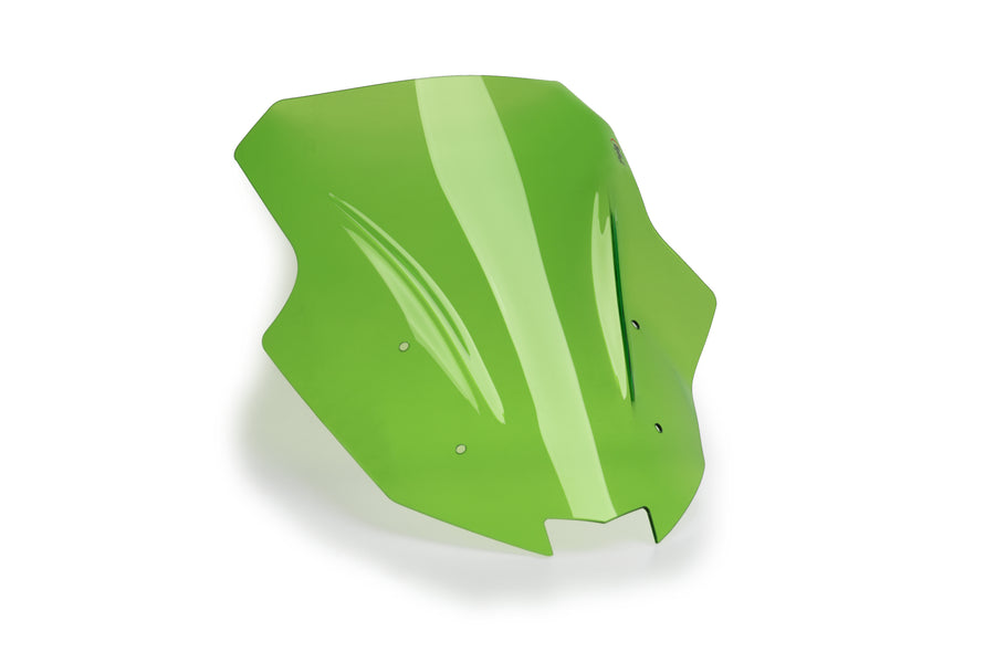 KAWASAKI NINJA 1100 SX SE [2025] – Cupolino da corsa – Colorato