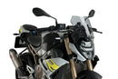 BMW M 1000 R [2024] – New Generation Sport – Heavily tinted-7
