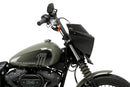 HARLEY DAVIDSON SOFTAIL STREET BOB FXBB [2019] – Mirage – Tinted-13