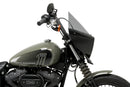 HARLEY DAVIDSON SOFTAIL STREET BOB FXBB [2019] – Mirage – Molto colorato-40