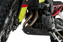 BMW F 900 GS [2025] – Engine Guard – Silver-32