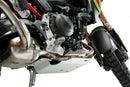BMW F 900 GS [2025] – Engine Guard – Silver-12