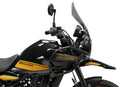 ROYAL ENFIELD HIMALAYAN 450 [2025] – Schermo regolabile – Fortemente colorato-7