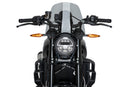 INDIAN FTR 1200 SPORT [2025] – New Generation Sport – Getönt-1