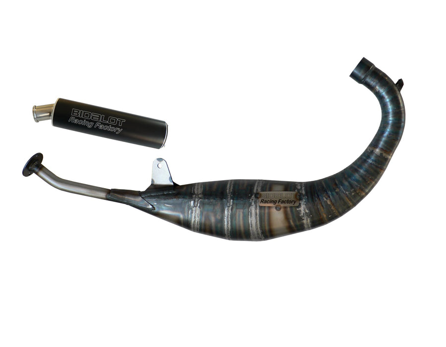 Aprilia RX 50 2T D50B1 [2006–] - Exhaust RF90/96-WR version 2019