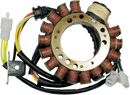 Suzuki DR 650 [RICK'S MOTORSPORT ELECTRIC] – Stator
