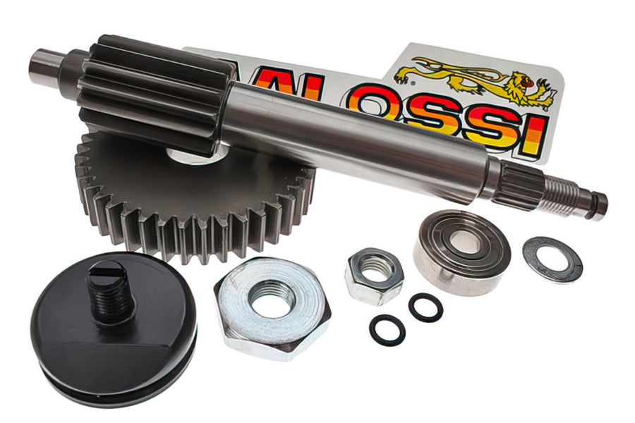Aprilia SR Netscaper 50 2T LC - Ingranaggio primario 14/42 con cuscinetti a sfera