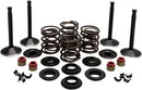 Harley Davidson FX Shovel [KIBBLEWHITE] – Motorventil-Kit
