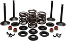 Harley Davidson FX Shovel [KIBBLEWHITE] – Motorventil-Kit