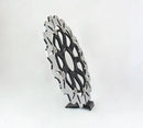 Mv Agusta RUSH 1000 [2020-2021] - brake discs - picture 3