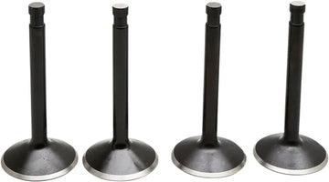 Harley Davidson FX Shovel [KIBBLEWHITE] – Black Diamond™ Motorventilsatz