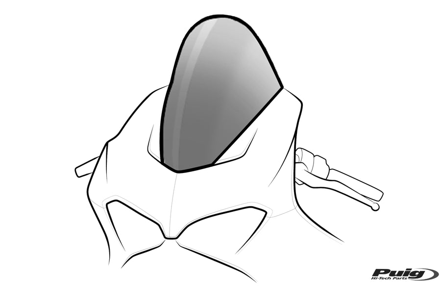 HONDA CBR 1000 RR R FIREBLADE SP [2012-2020] - Windshield
