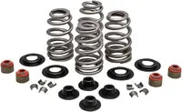 Buell S 1 Lightning [1997, 1999] - Econo Beehive® Ventilfeder-Kit – Bild 8