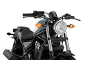 HONDA CMX 500 REBEL SE [2024] – ALU Frontplatte – Silber-7