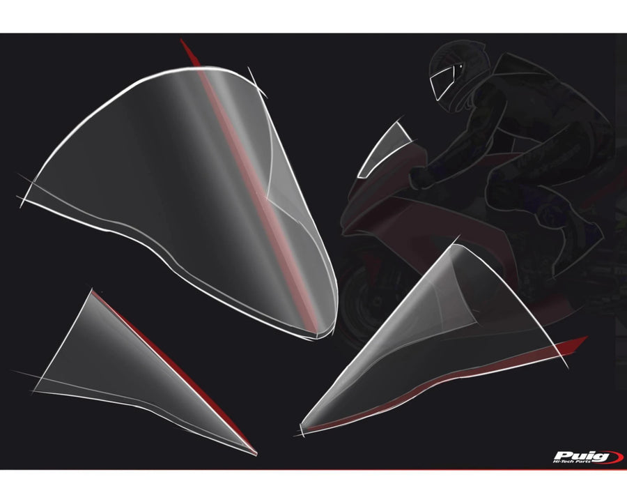 KAWASAKI ZX-10RR NINJA PERFORMANCE [2018] – Cupolino R-Racer – Colorato