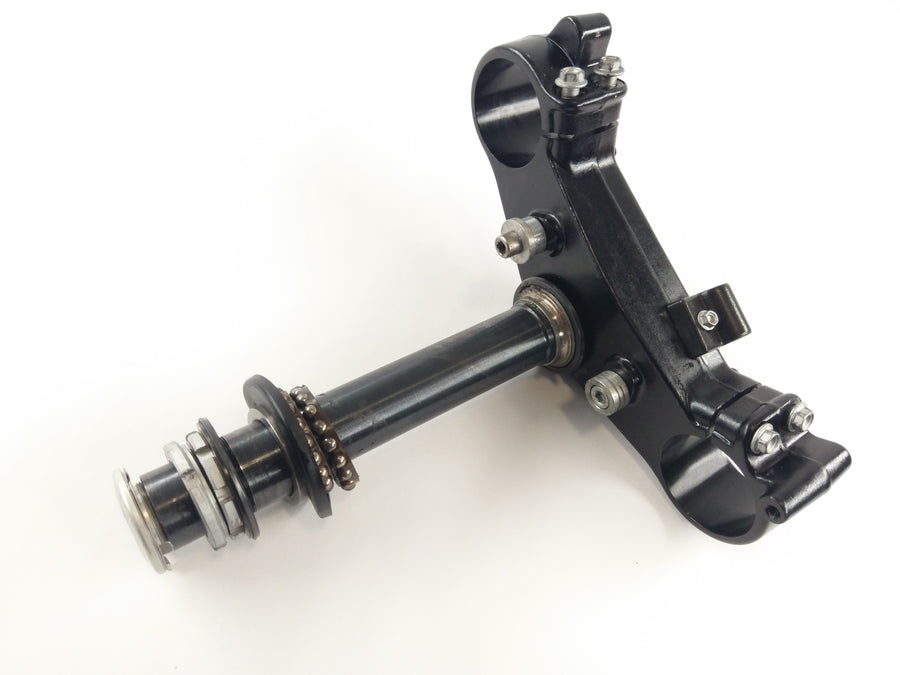 Aprilia RST 1000 FUTURA [2004] - Bridge fork sotto