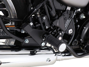 Kawasaki W 800 Street [2019-2025] -PASION
