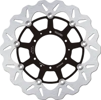 Triumph Sprint 955 RS [2000-2001] - dischi freno – immagine 11