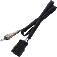 Harley-Davidson Vrscdx 1250 Night Rod Special [2012, 2012-2013, 2015-2017] - sonda lambda da 12 mm – cod. 9905 – Figura 11