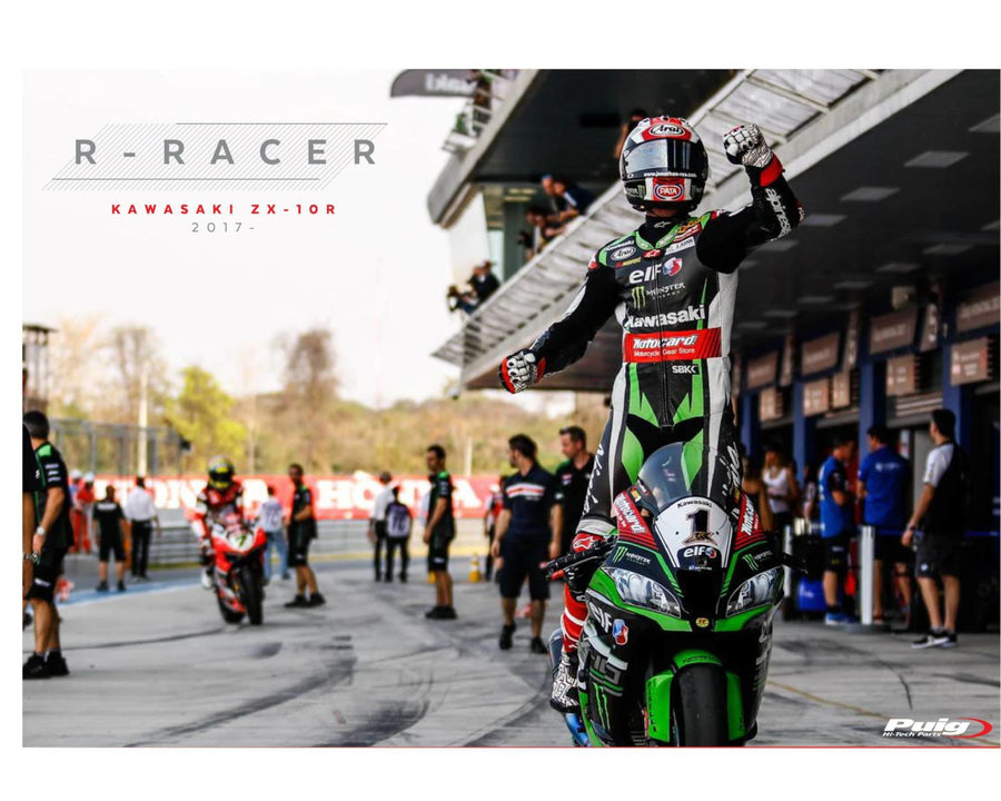 KAWASAKI ZX-10RR NINJA PERFORMANCE [2018] – Cupolino R-Racer – Colorato
