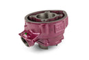 Beta RR Enduro 50 2T - kit termico Due Plus 75 cc
