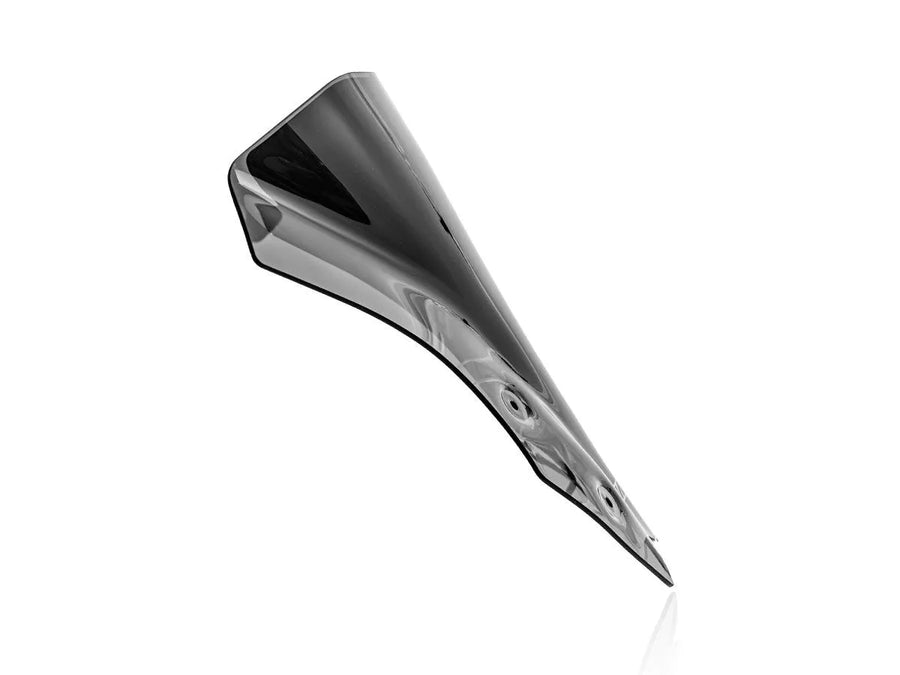 Kawasaki Z 900 [WRS] – Windschild