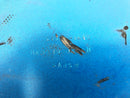 Kawasaki ZRX 1200 S ZRT20A [2003] - Parte centrale sotto il travestimento-3
